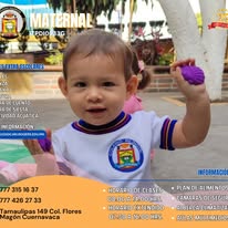 Información maternal - Colegio Carl Rogers